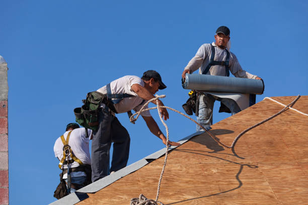 Best Roof Gutter Cleaning  in Nd Lake, WI